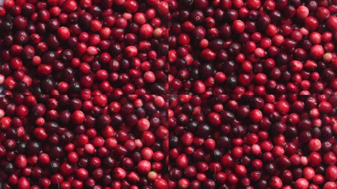 红色新鲜蔓越莓旋转的俯视图