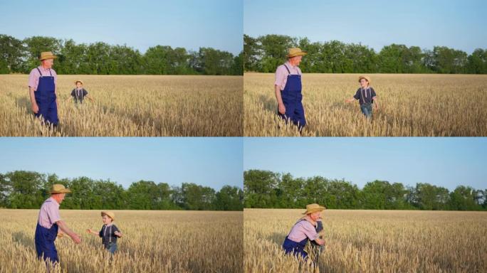 农业综合企业，快乐开朗的男孩子在收获季节走过麦田时，戴着帽子抱着麦穗拥抱他年迈的祖父农民