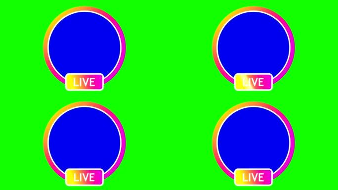 在绿色的背景上，一个亮粉色的圆形框架，下面的题词- LIVE。内框蓝色背景