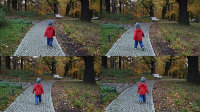 小男孩正走在秋天公园的小巷上