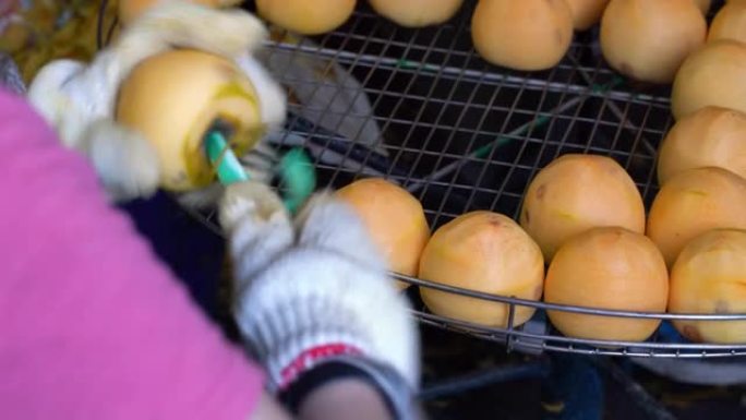 一名女工用削皮器削柿子，并把它们放在筛子里。