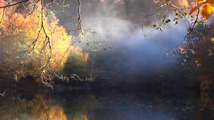 秋天在静止的空气中在平静的湖面上起雾
