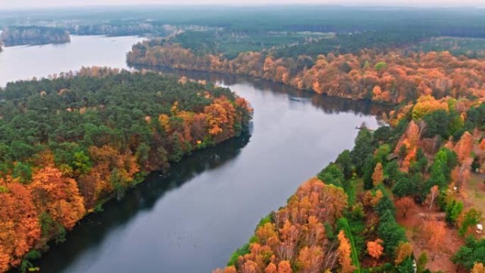大河和秋天的雾林，波兰的鸟瞰图