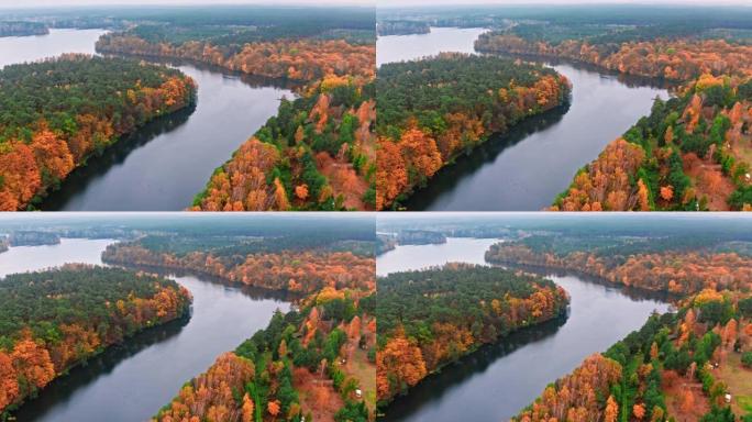 大河和秋天的雾林，波兰的鸟瞰图