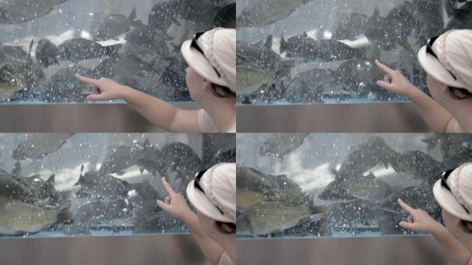 餐厅的女士从水族馆中选择活鱼。