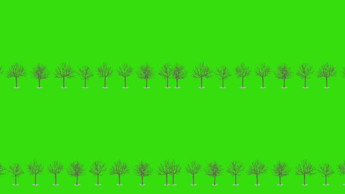 移动树木无缝背景。带alpha cannel的4k循环镜头