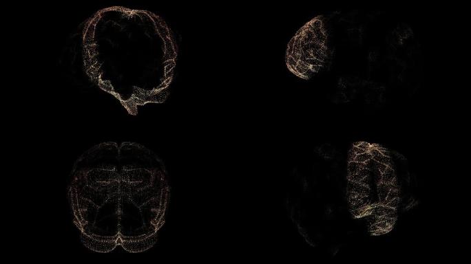 生物医学神经元病理学和诊断扫描