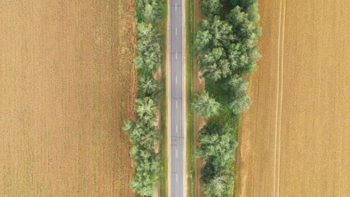空中穿越风景如画的乡村公路穿过金色的乡村麦田