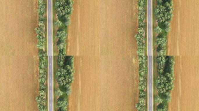 空中穿越风景如画的乡村公路穿过金色的乡村麦田