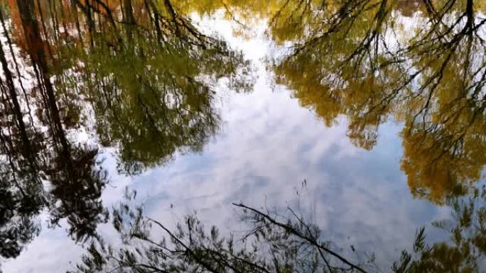 天空多云的湖中五颜六色的树木的倒影，4k慢动作b滚动镜头。