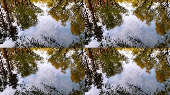 天空多云的湖中五颜六色的树木的倒影，4k慢动作b滚动镜头。