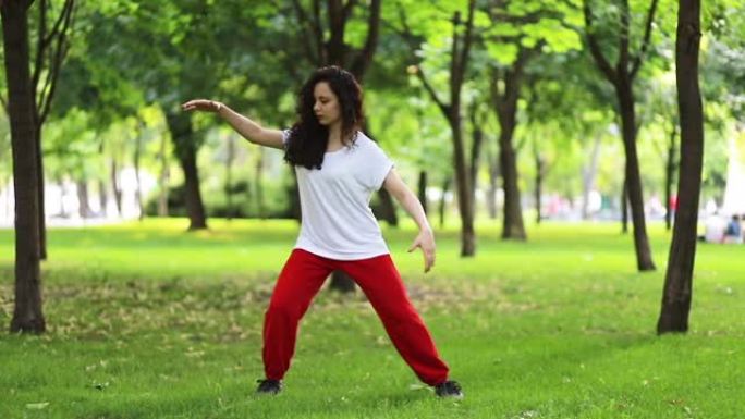 一个女人在公园里做太极拳气功。东方武术武术