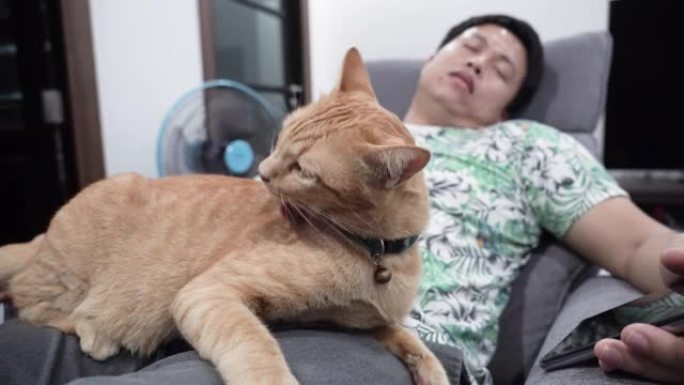 男人在家和猫休息。