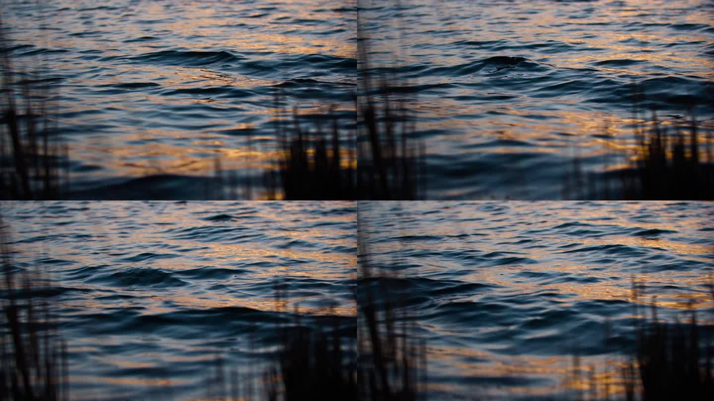 金色水面湖面湖边夕阳水面波浪波光