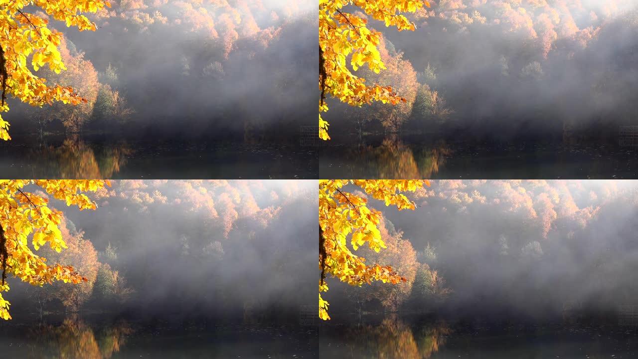 秋天在静止的空气中在平静的湖面上起雾