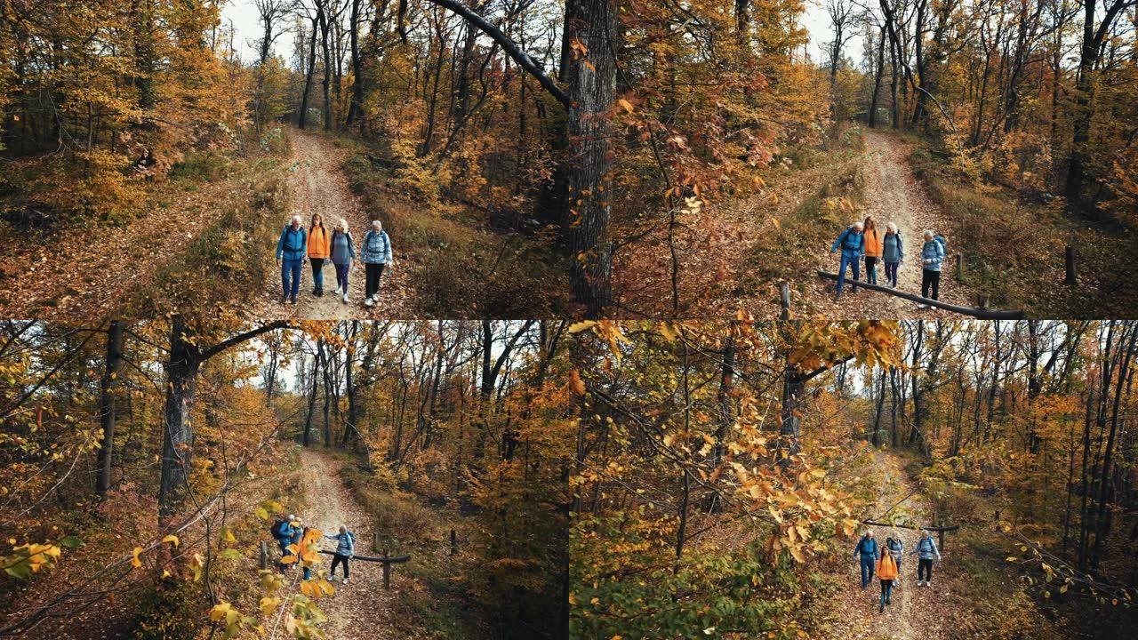 一群成熟的徒步穿越森林。