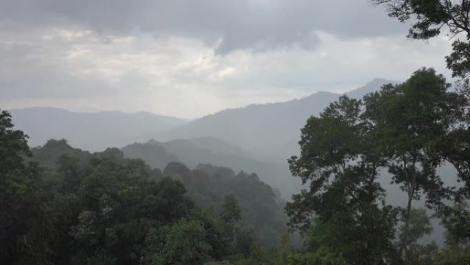 亚洲热带森林下大雨
