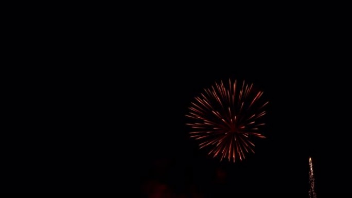烟花在夜空中爆炸。无论如何都要庆祝。新年。国庆节。排灯节。真正的拍摄。