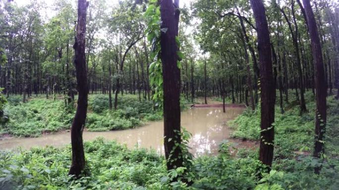 通过喜马拉雅地区丘陵地区的池塘收集雨水