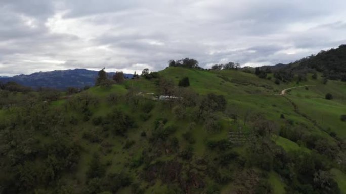 加州山区草地的无人机风景