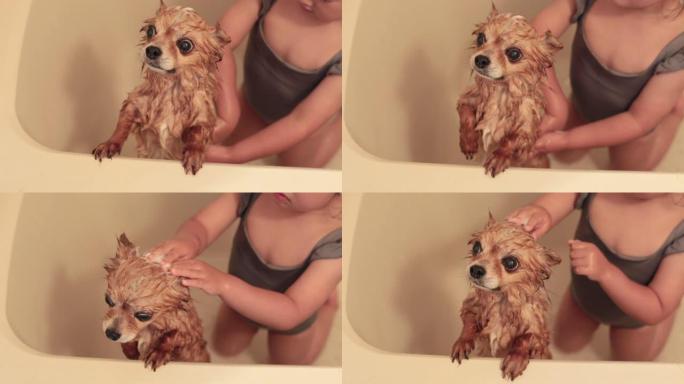 女孩在浴室洗狗