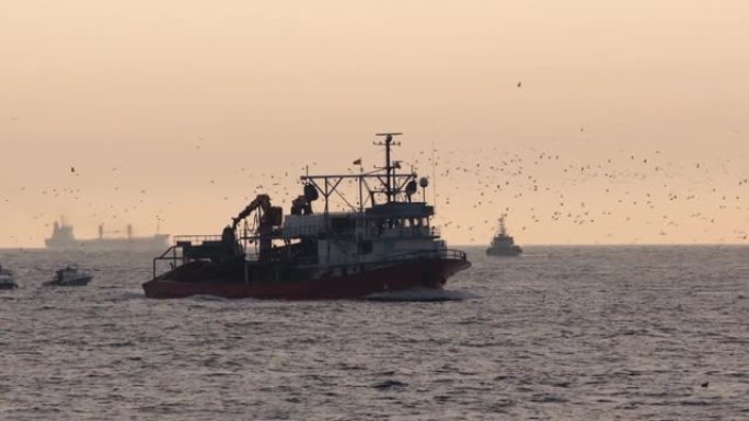 海里的拖网渔船从捕鱼回到伊斯坦布尔