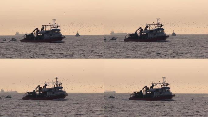 海里的拖网渔船从捕鱼回到伊斯坦布尔