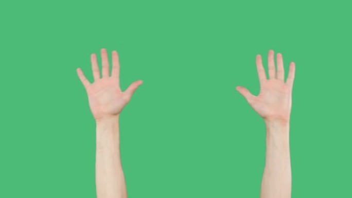 在绿色屏幕的背景上举起摊开的手掌。特写的左手和右手的手掌显示十个手指在绿色的色键背景。