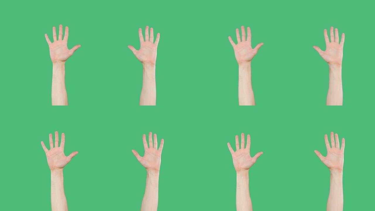在绿色屏幕的背景上举起摊开的手掌。特写的左手和右手的手掌显示十个手指在绿色的色键背景。