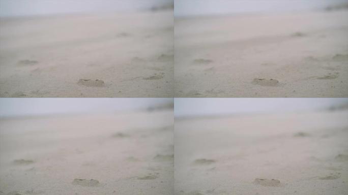 海滩上风中吹沙的特写镜头