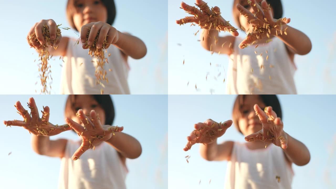 慢动作，小女孩向田里扔一粒米。