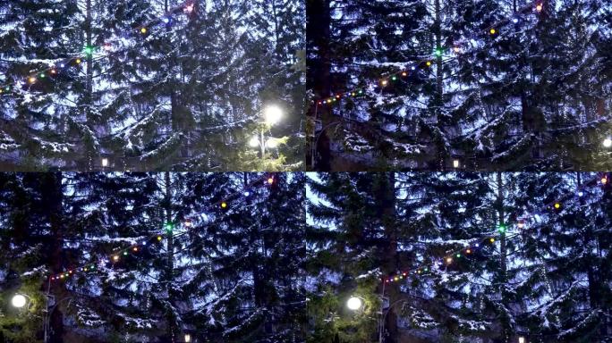 公园里的枞树装饰着花环和五颜六色的灯光。树上的节日花环，新年装饰品。城市中的神奇氛围。新2021年，