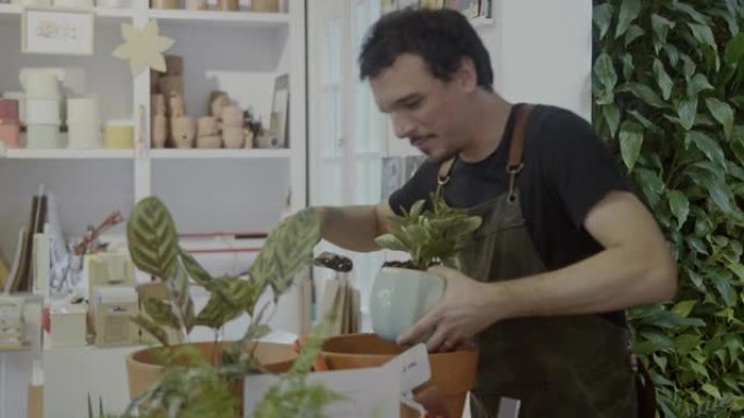 小企业主在一家小型植物学和礼品店里盆栽植物