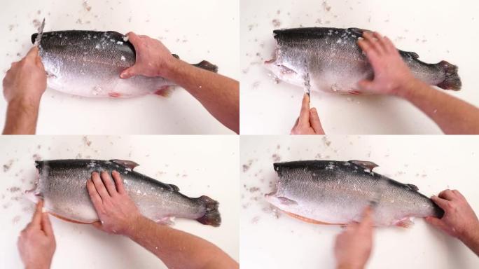 虹鳟鱼是用木砧板上的小刀从鳞片上清洗的。