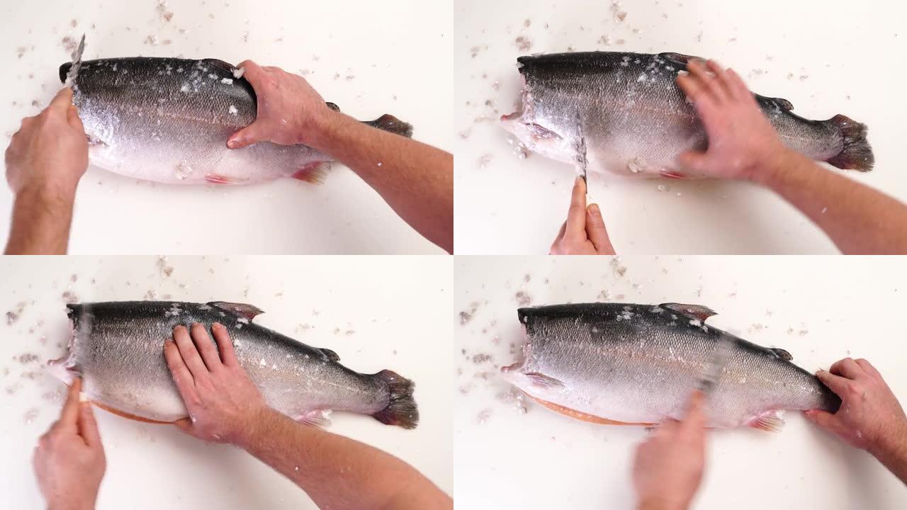 虹鳟鱼是用木砧板上的小刀从鳞片上清洗的。