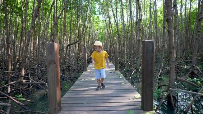 亚洲孩子在红树林中户外学习