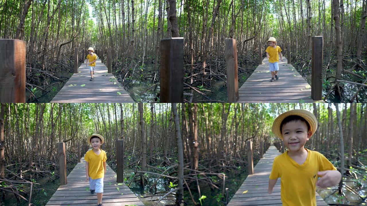 亚洲孩子在红树林中户外学习