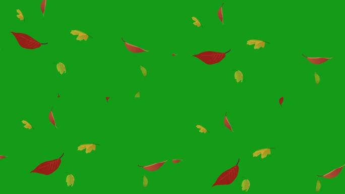 落叶运动图形与绿屏背景