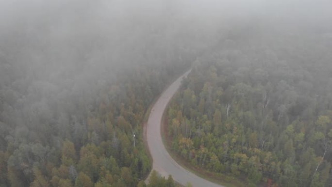布鲁斯半岛迷雾森林的鸟瞰图