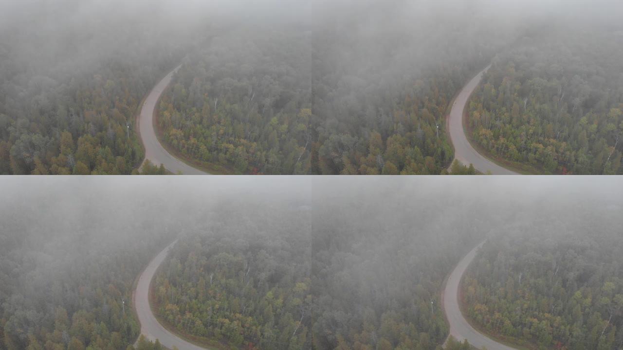 布鲁斯半岛迷雾森林的鸟瞰图
