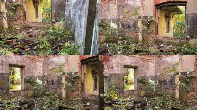 Mariental公园的旧建筑物废墟，废弃的小屋