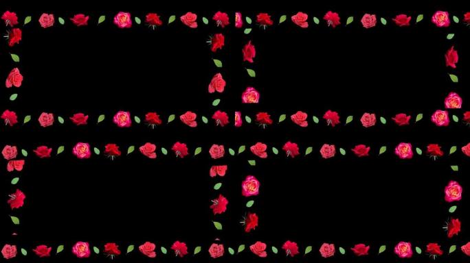 黑色背景上的玫瑰花框架。简约的演示形式，文本，企业身份。支持名称、标志、字母。花店。现代设计