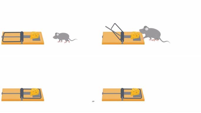 捕鼠器。动物老鼠在陷阱中的动画。诱饵卡通