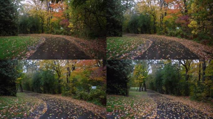 在雨中徒步穿越秋天的树林