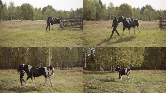 村子里的秋天，一个漂亮的女人牵着马的缰绳，把马带到森林里