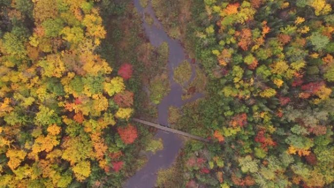 美丽的俯视空中旅行，沿着鲤鱼河从云湖的人行天桥上俯瞰，五颜六色的秋叶和雾气笼罩着下面的场景。