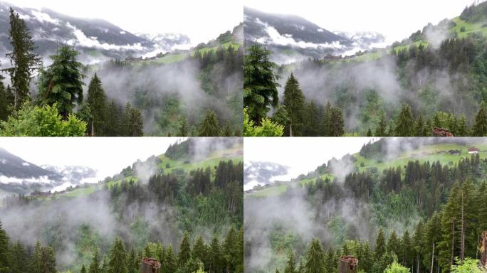 有雾的山地景观唯美自然美丽风景大气意境