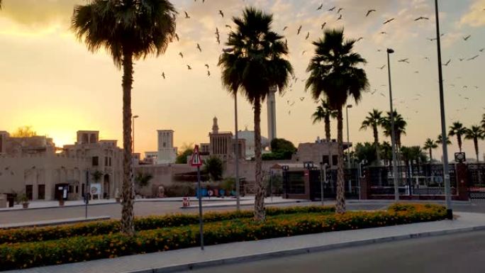 迪拜Al Fahidi街区的日落在一座古老的清真寺上，许多海鸥飞翔