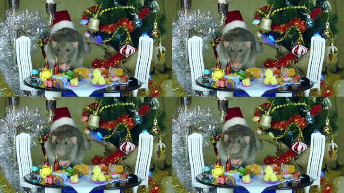 老鼠在娃娃桌上用食物庆祝圣诞节