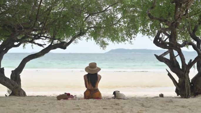 夏天的海上旅行